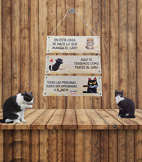 Cartel de Gato