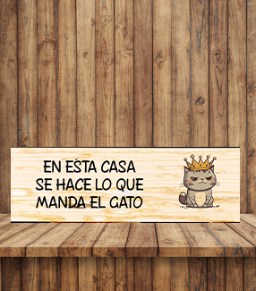 Cartel de Gato
