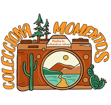 Pegatinas Transparentes