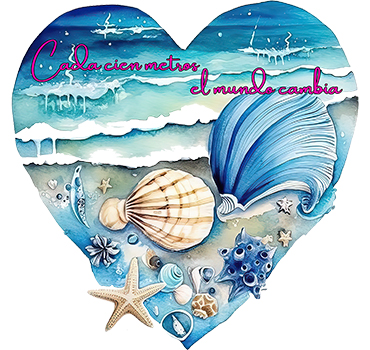 Pegatinas Transparentes